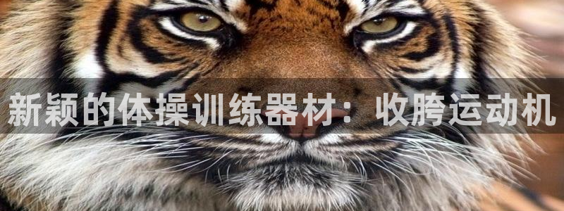 九游体育官网下载招商电话是多少啊:新颖的体操训练器材:收胯运