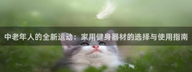 九游体育官方正版app集团:中老年人的全新运动:家用健身器材