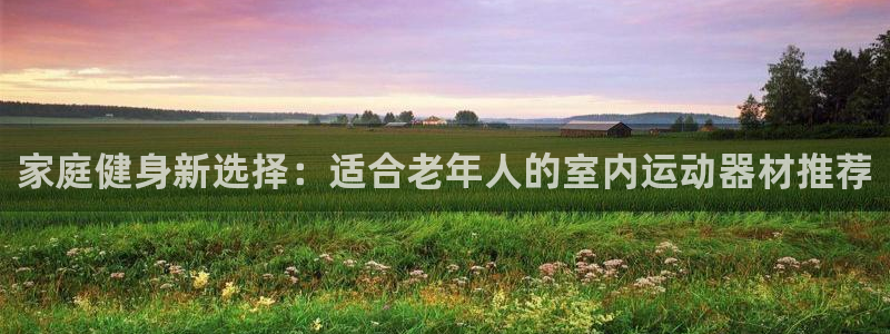 九游体育官方正版app娱乐:家庭健身新选择:适合老年人的室内