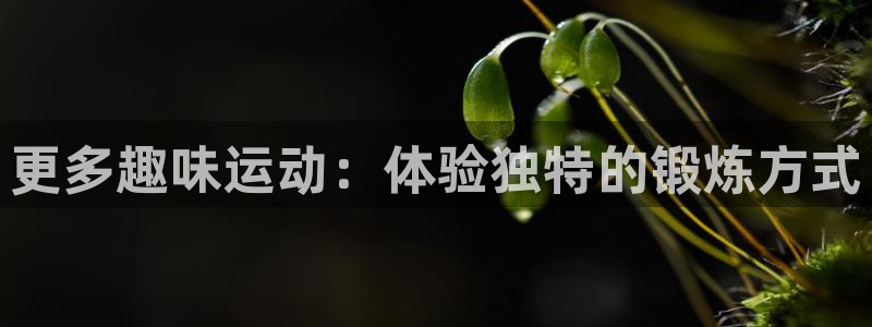 九游体育官方正版app娱乐网站:更多趣味运动:体验独特的锻炼