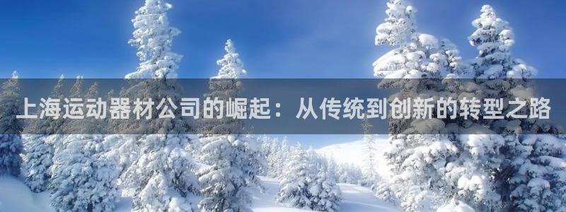 九游体育官方正版app娱乐是那个系列的台子:上海运动器材公司